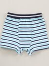 100% Cotton Knitted Briefs All Over Printed Pack of 3 - Blue - Image 4