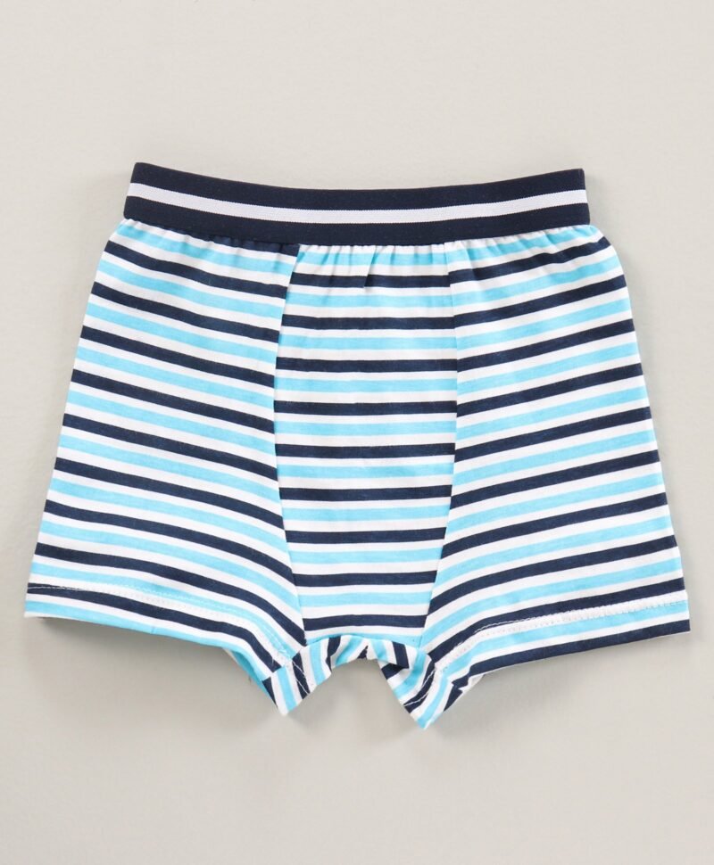 100% Cotton Knitted Briefs All Over Printed Pack of 3 - Blue - Image 4